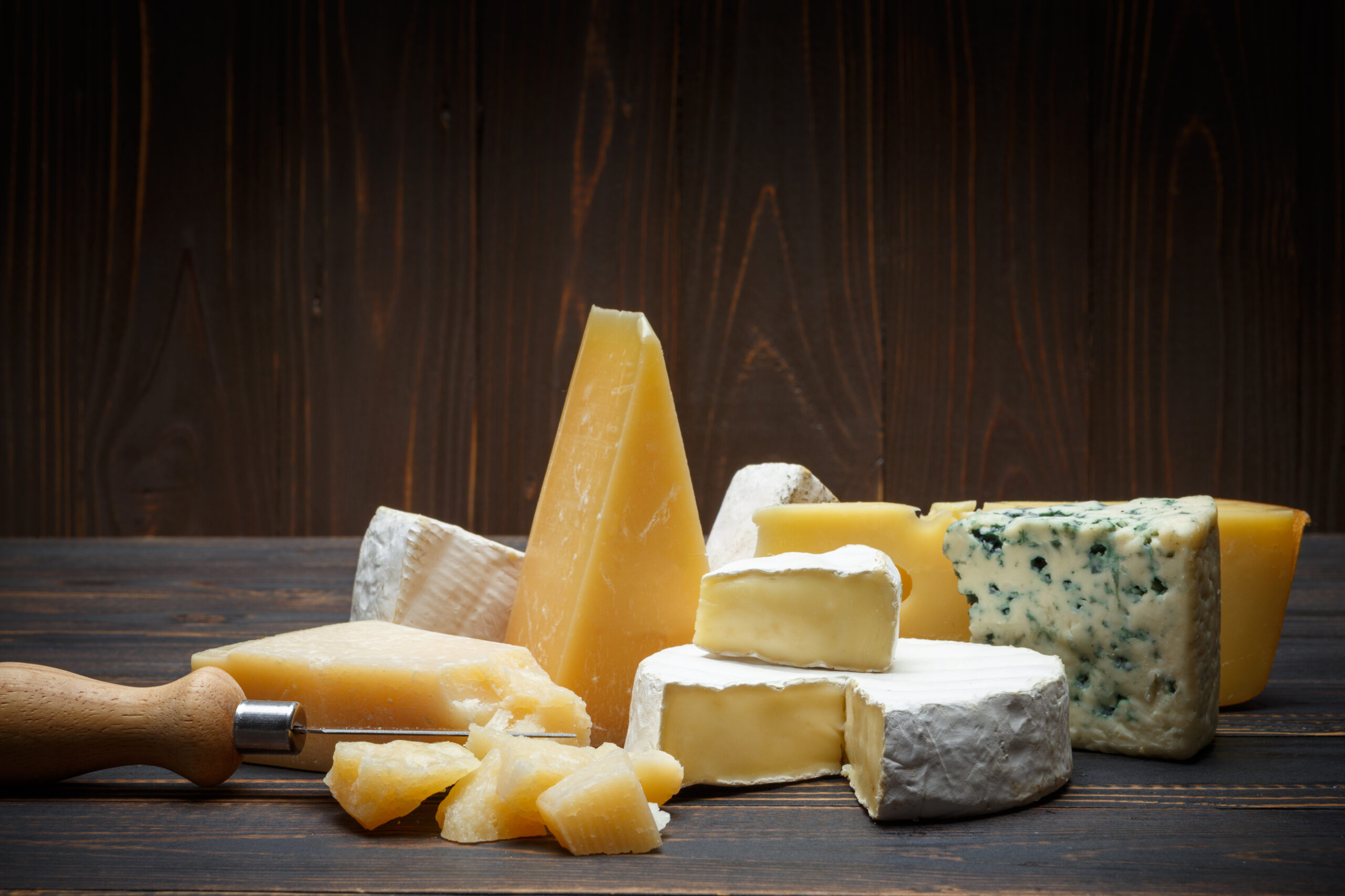 Various types of cheese - parmesan, brie, roquefort, cheddar